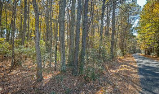 Photo #17 of Off Buzzard point Rd, Diggs, VA 248.1 acres