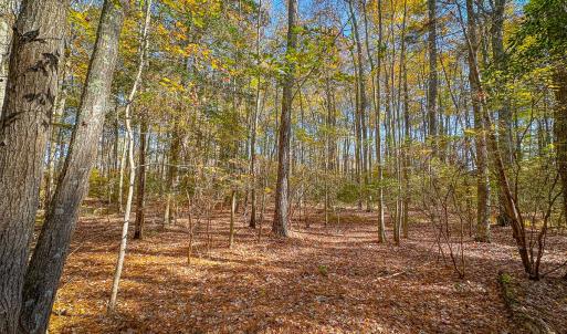 Photo #18 of Off Buzzard point Rd, Diggs, VA 248.1 acres
