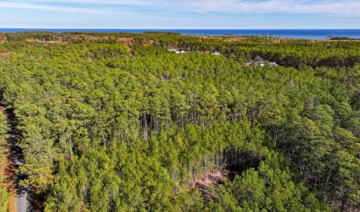 Photo #20 of Off Buzzard point Rd, Diggs, VA 248.1 acres