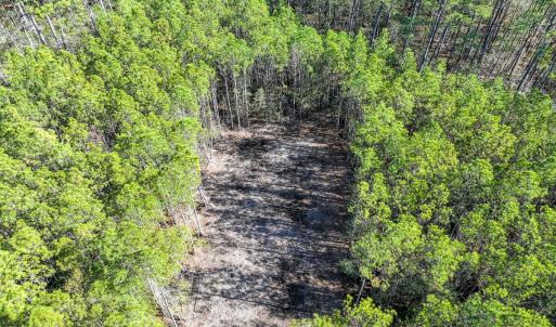 Photo #21 of Off Buzzard point Rd, Diggs, VA 248.1 acres