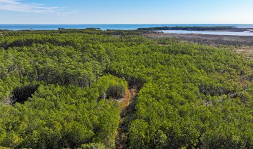 Photo #1 of Off Buzzard point Rd, Diggs, VA 248.1 acres