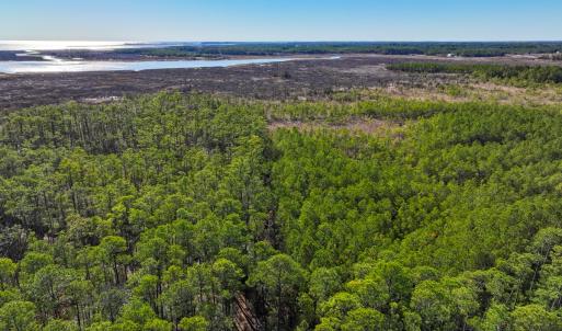 Photo #2 of Off Buzzard point Rd, Diggs, VA 248.1 acres