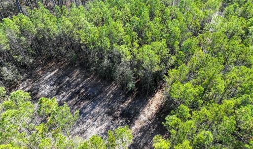 Photo #22 of Off Buzzard point Rd, Diggs, VA 248.1 acres