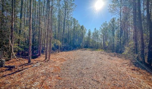 Photo #23 of Off Buzzard point Rd, Diggs, VA 248.1 acres