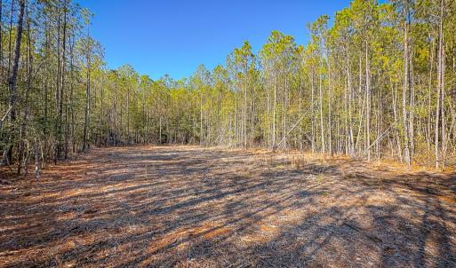 Photo #25 of Off Buzzard point Rd, Diggs, VA 248.1 acres
