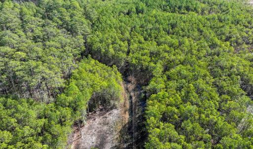 Photo #26 of Off Buzzard point Rd, Diggs, VA 248.1 acres