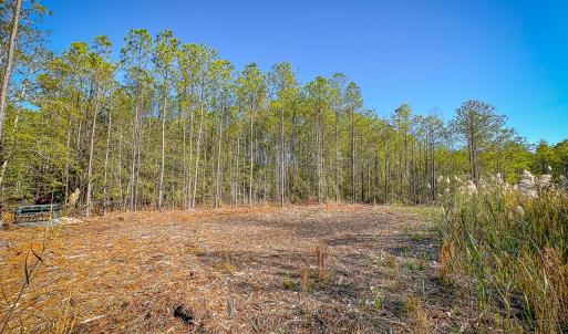 Photo #27 of Off Buzzard point Rd, Diggs, VA 248.1 acres