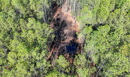 Photo #28 of Off Buzzard point Rd, Diggs, VA 248.1 acres