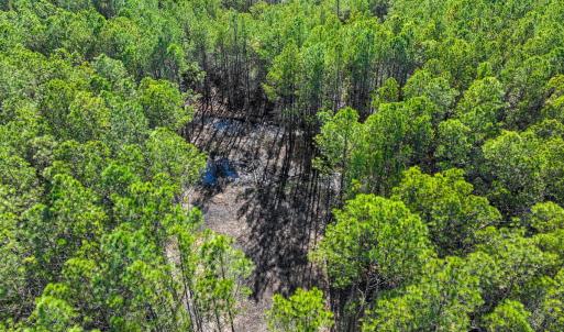 Photo #29 of Off Buzzard point Rd, Diggs, VA 248.1 acres