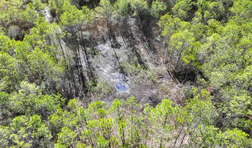 Photo #33 of Off Buzzard point Rd, Diggs, VA 248.1 acres