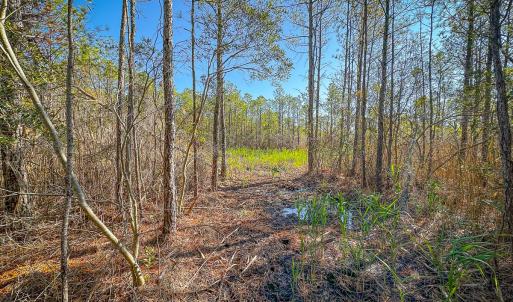 Photo #35 of Off Buzzard point Rd, Diggs, VA 248.1 acres