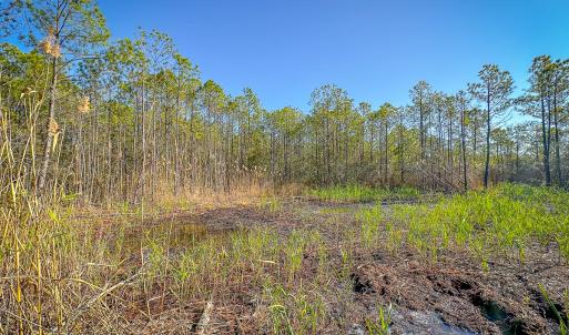 Photo #36 of Off Buzzard point Rd, Diggs, VA 248.1 acres