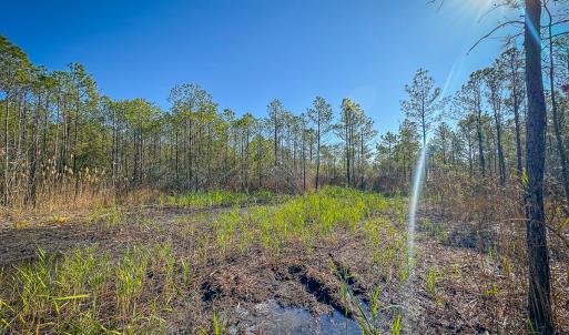 Photo #37 of Off Buzzard point Rd, Diggs, VA 248.1 acres