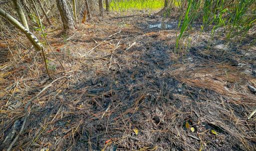 Photo #38 of Off Buzzard point Rd, Diggs, VA 248.1 acres