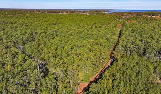 Photo #39 of Off Buzzard point Rd, Diggs, VA 248.1 acres