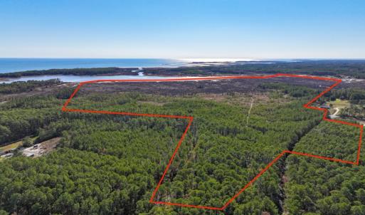 Photo #4 of Off Buzzard point Rd, Diggs, VA 248.1 acres