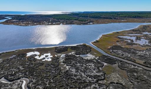 Photo #6 of Off Buzzard point Rd, Diggs, VA 248.1 acres