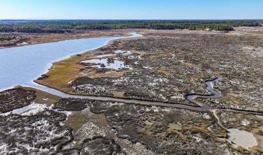 Photo #7 of Off Buzzard point Rd, Diggs, VA 248.1 acres