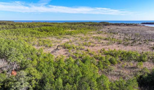 Photo #8 of Off Buzzard point Rd, Diggs, VA 248.1 acres