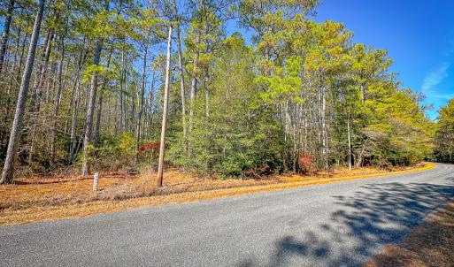 Photo #41 of Off Buzzard point Rd, Diggs, VA 248.1 acres