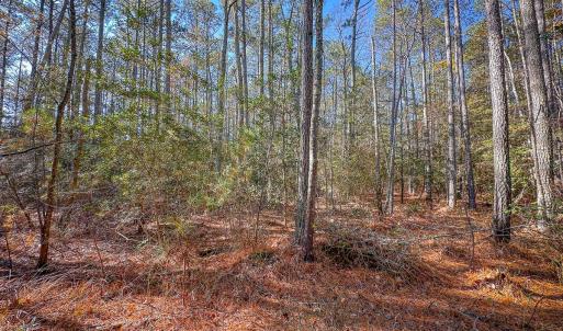 Photo #42 of Off Buzzard point Rd, Diggs, VA 248.1 acres