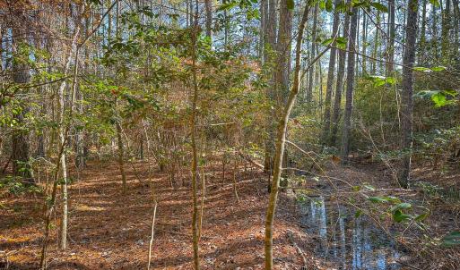 Photo #43 of Off Buzzard point Rd, Diggs, VA 248.1 acres
