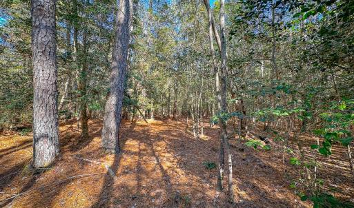 Photo #45 of Off Buzzard point Rd, Diggs, VA 248.1 acres