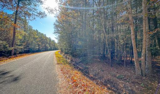 Photo #47 of Off Buzzard point Rd, Diggs, VA 248.1 acres