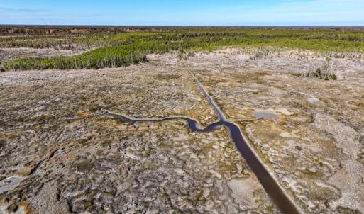 Photo #49 of Off Buzzard point Rd, Diggs, VA 248.1 acres