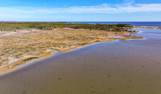 Photo #51 of Off Buzzard point Rd, Diggs, VA 248.1 acres