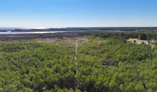 Photo #53 of Off Buzzard point Rd, Diggs, VA 248.1 acres