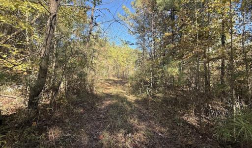 Photo #13 of Off T Tarpey Ln, Sanford, NC 12.6 acres
