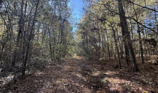 Photo #15 of Off T Tarpey Ln, Sanford, NC 12.6 acres