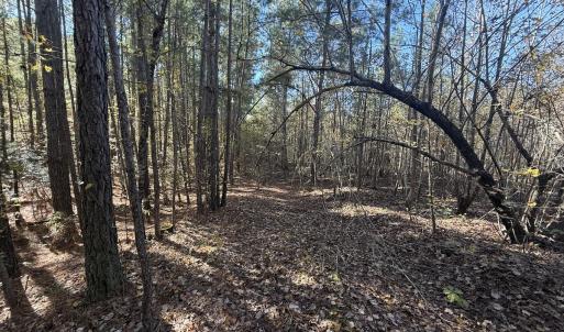 Photo #18 of Off T Tarpey Ln, Sanford, NC 12.6 acres