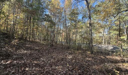 Photo #24 of Off T Tarpey Ln, Sanford, NC 12.6 acres