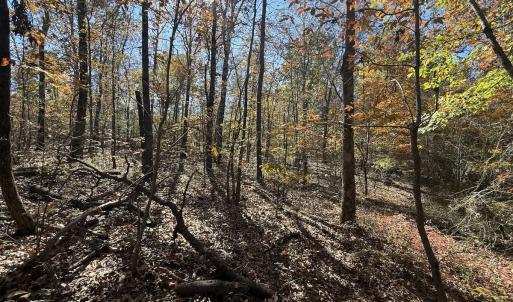 Photo #25 of Off T Tarpey Ln, Sanford, NC 12.6 acres