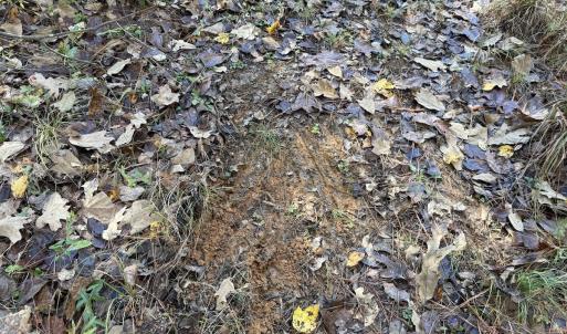 Photo #28 of Off T Tarpey Ln, Sanford, NC 12.6 acres