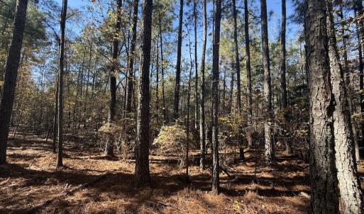 Photo #29 of Off T Tarpey Ln, Sanford, NC 12.6 acres