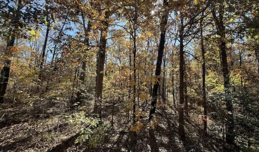 Photo #3 of Off T Tarpey Ln, Sanford, NC 12.6 acres