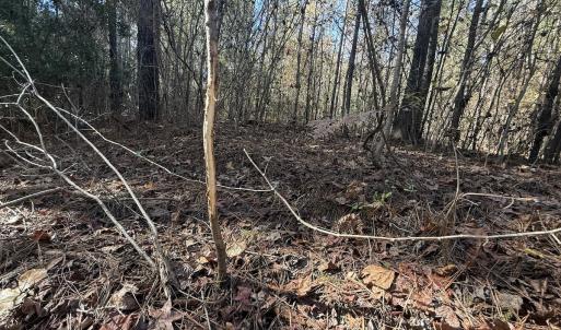 Photo #30 of Off T Tarpey Ln, Sanford, NC 12.6 acres