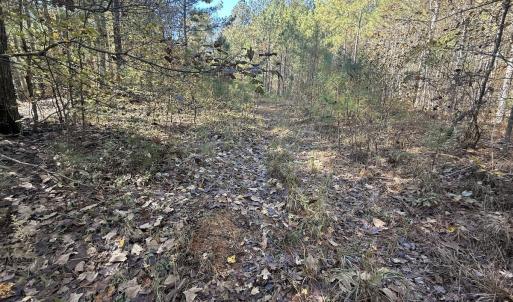 Photo #32 of Off T Tarpey Ln, Sanford, NC 12.6 acres