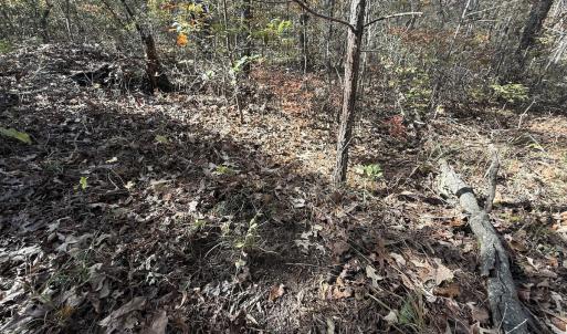 Photo #33 of Off T Tarpey Ln, Sanford, NC 12.6 acres