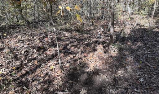 Photo #34 of Off T Tarpey Ln, Sanford, NC 12.6 acres