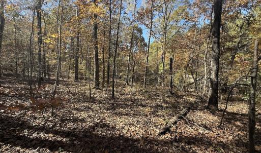 Photo #36 of Off T Tarpey Ln, Sanford, NC 12.6 acres