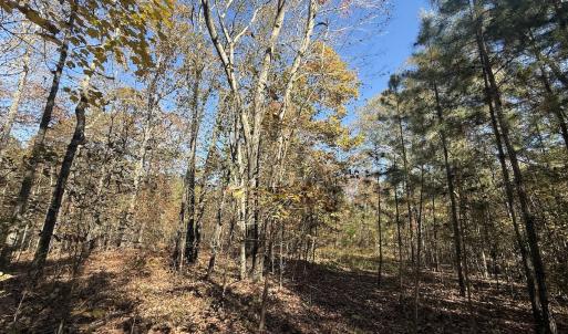 Photo #37 of Off T Tarpey Ln, Sanford, NC 12.6 acres