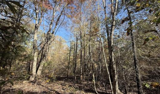 Photo #38 of Off T Tarpey Ln, Sanford, NC 12.6 acres