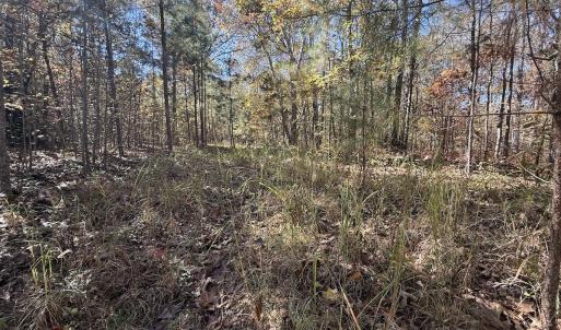 Photo #39 of Off T Tarpey Ln, Sanford, NC 12.6 acres