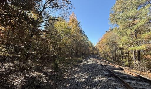 Photo #6 of Off T Tarpey Ln, Sanford, NC 12.6 acres