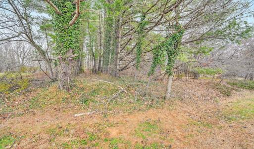 Photo #47 of 1059 Fairview Drive, Big Island, VA 1.8 acres