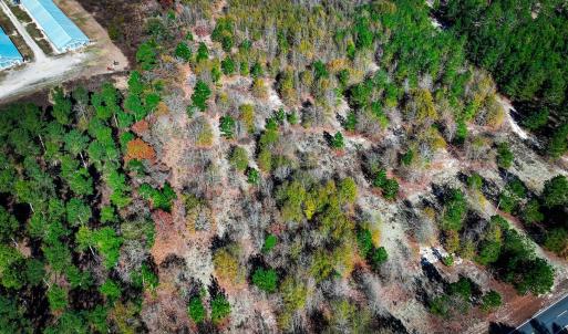 Photo #9 of Off Jesse Smith Rd, Laurel Hill, NC 22.5 acres